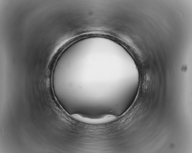 X0000098221360200805081148