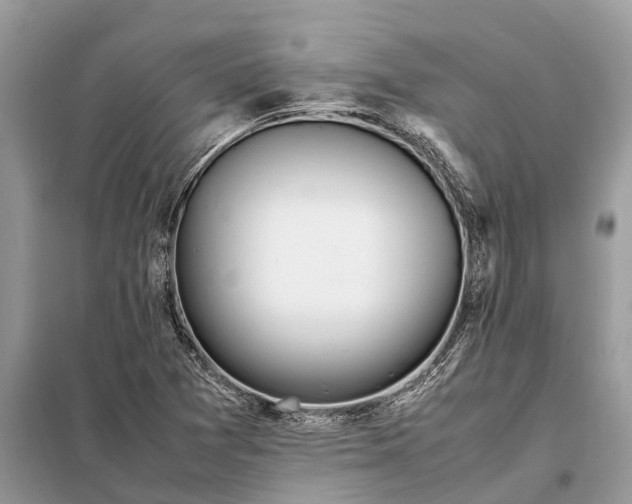 X0000098221361200805081148