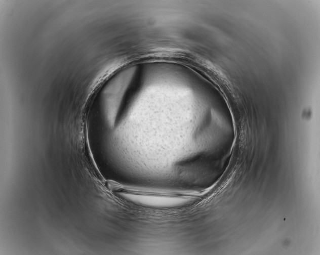 X0000098221362200805081148