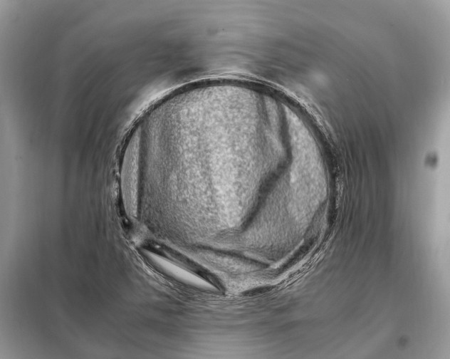 X0000098221363200805081148