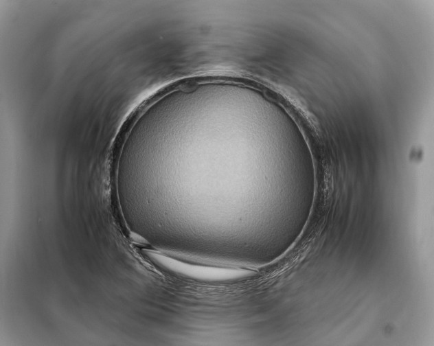 X0000098221364200805081148