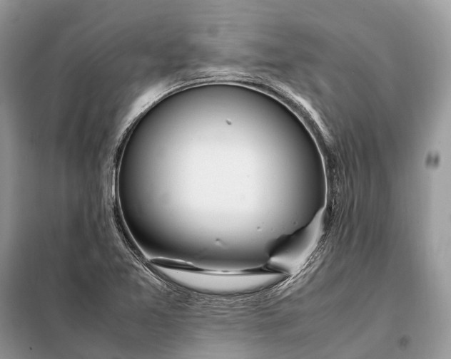 X0000098221365200805081148