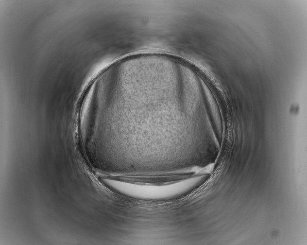 X0000098221366200805081148