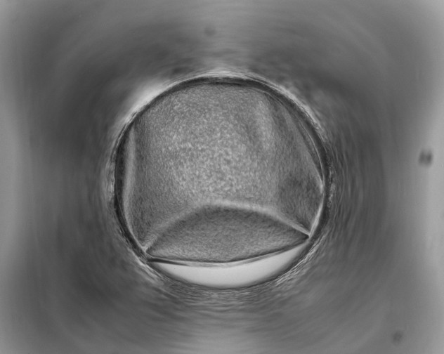 X0000098221367200805081148