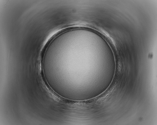 X0000098221368200805081148