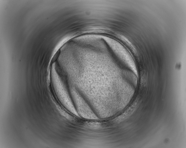 X0000098221370200805081148