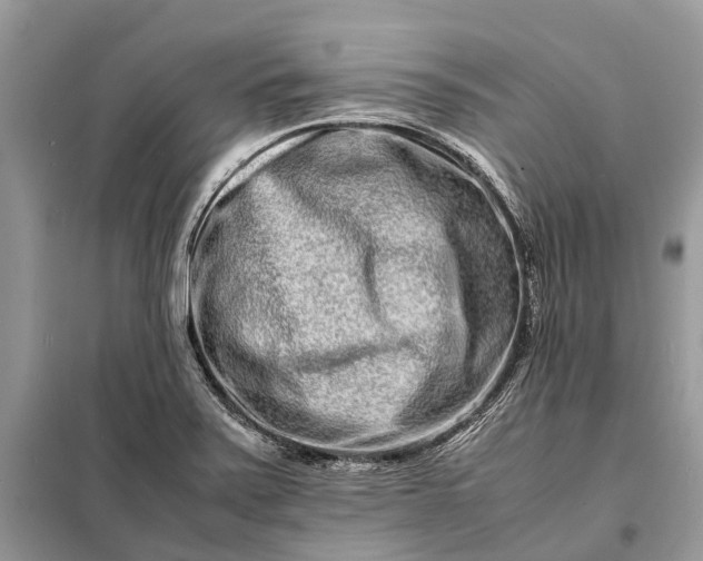 X0000098221371200805081148