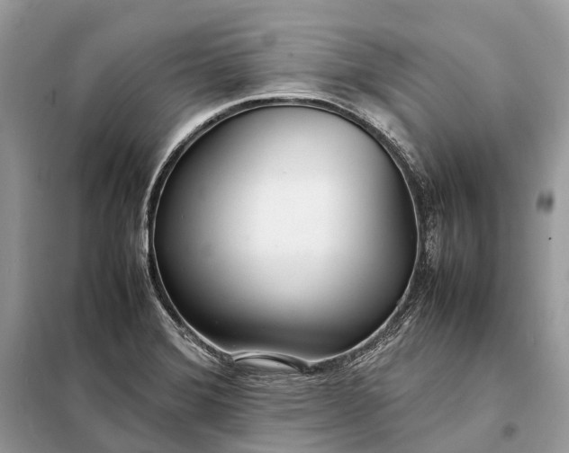 X0000098221372200805081148