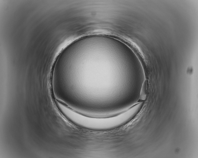 X0000098221373200805081148