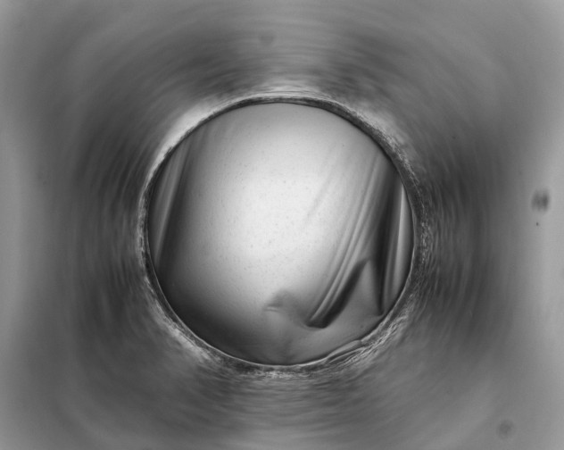 X0000098221374200805081148