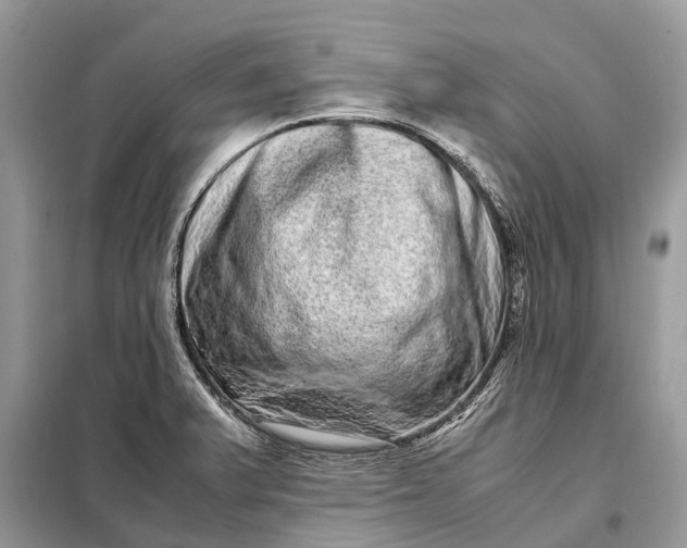 X0000098221375200805081148