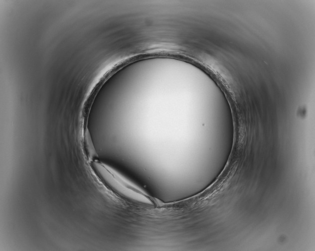 X0000098221376200805081148