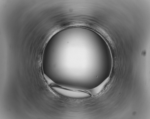 X0000098221377200805081148