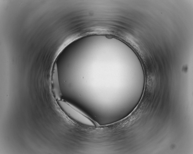 X0000098221378200805081148