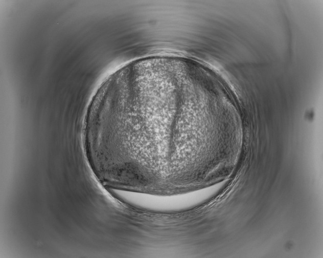 X0000098221379200805081148