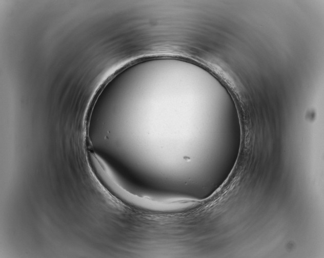 X0000098221380200805081148