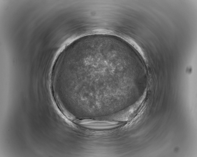 X0000098221381200805081148