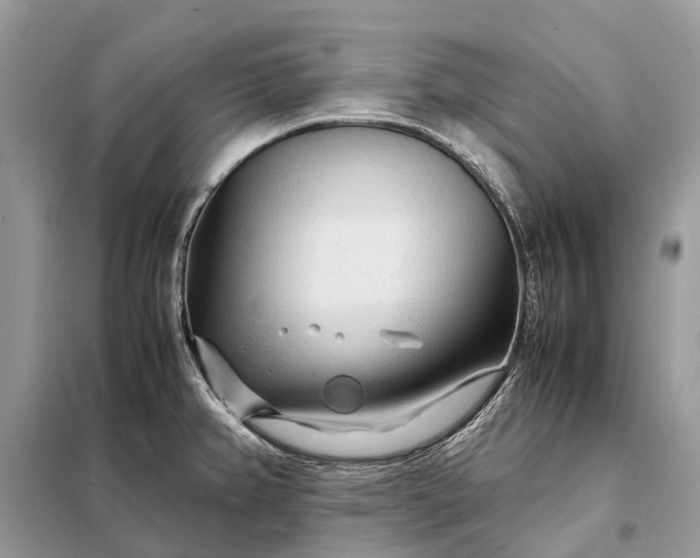 X0000098221382200805081148