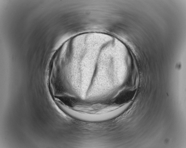 X0000098221383200805081148