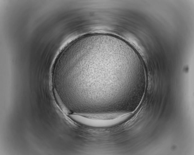 X0000098221384200805081148