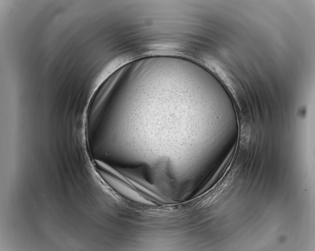 X0000098221386200805081148