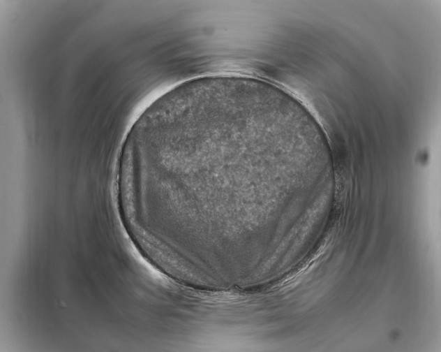 X0000098221387200805081148