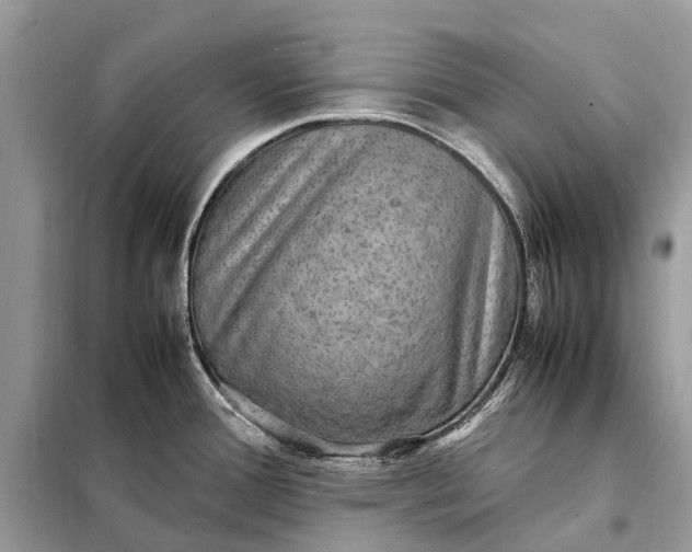 X0000098221388200805081148