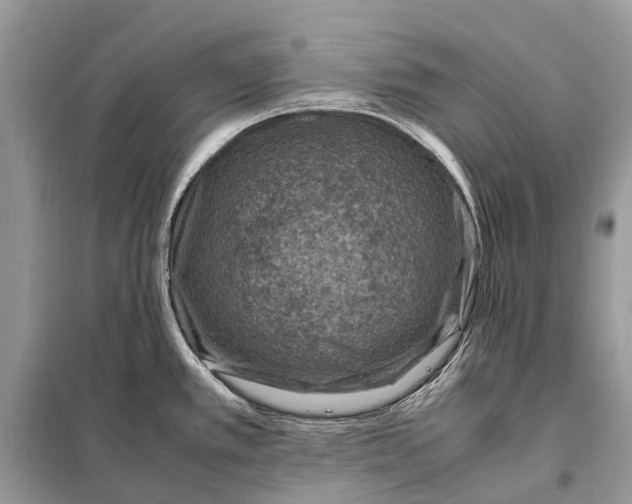 X0000098221389200805081148