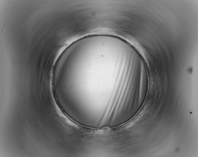 X0000098221390200805081148