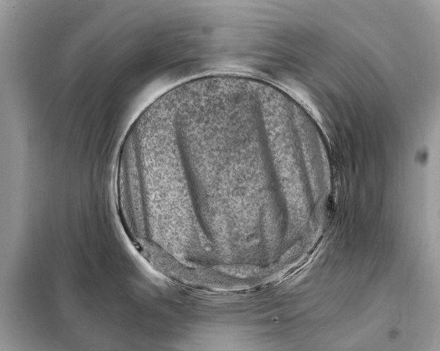 X0000098221391200805081148