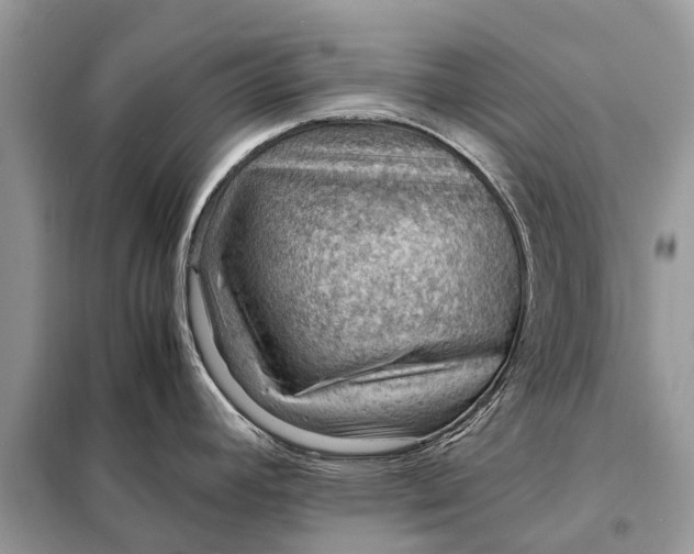 X0000098221392200805081148