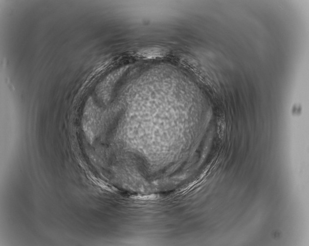 X0000098221393200805081147