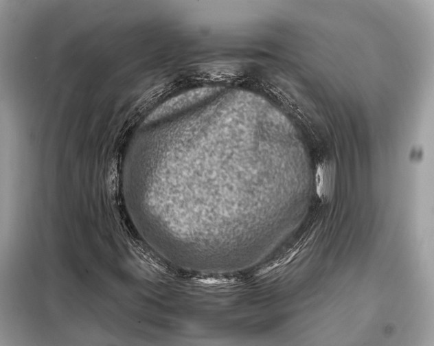 X0000098221395200805081147