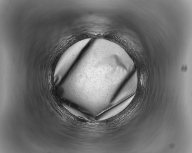 X0000098221396200805081147