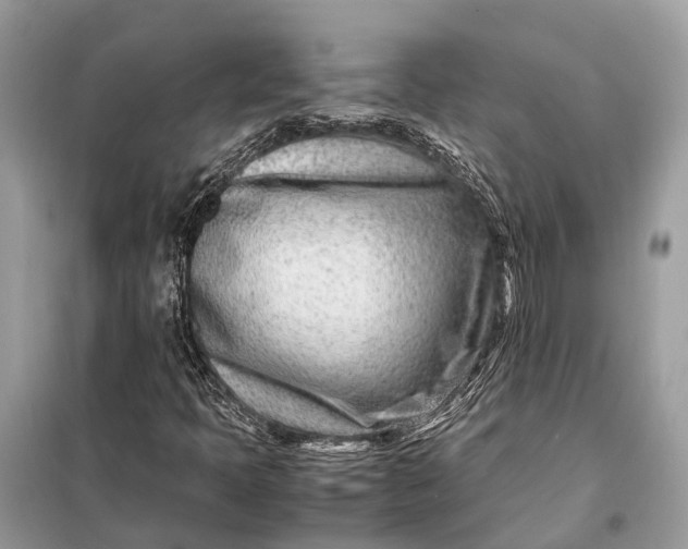 X0000098221397200805081147