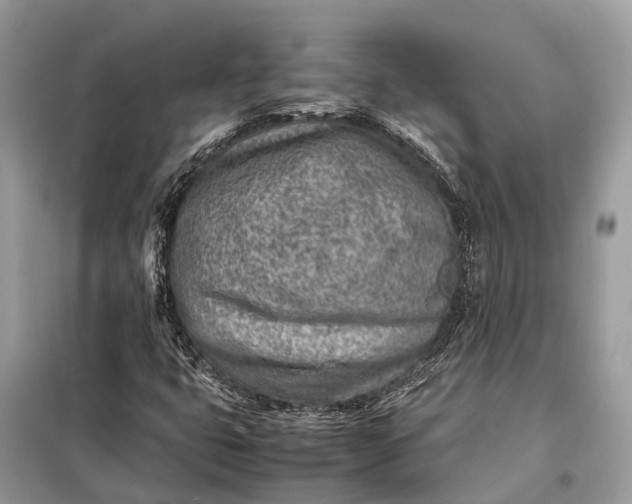 X0000098221399200805081147