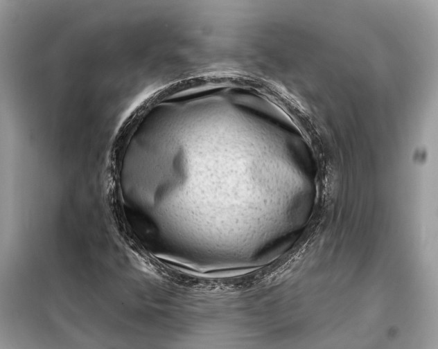 X0000098221400200805081147