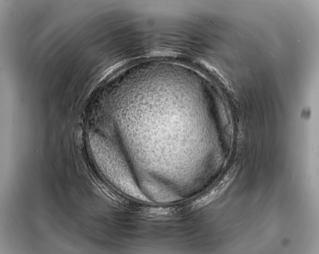 X0000098221401200805081147