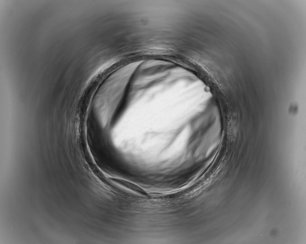 X0000098221402200805081147