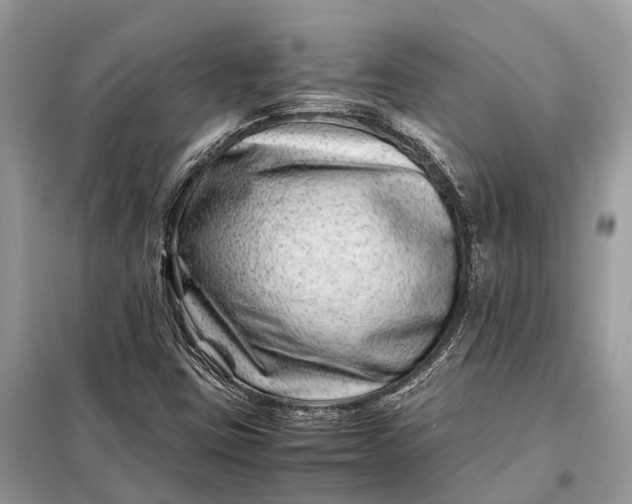 X0000098221403200805081147