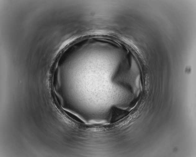 X0000098221404200805081147