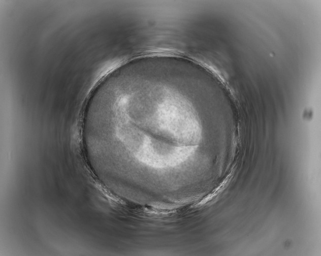 X0000098221405200805081147