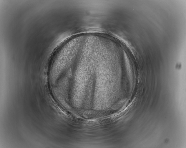 X0000098221407200805081147