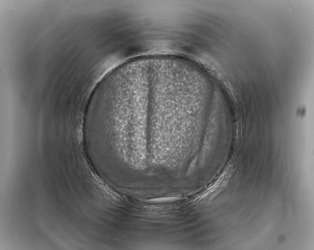 X0000098221409200805081147