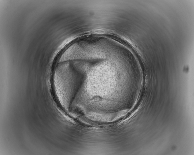 X0000098221410200805081147