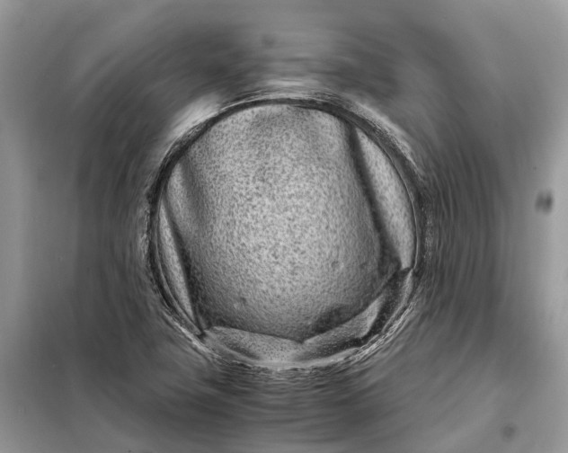 X0000098221411200805081147