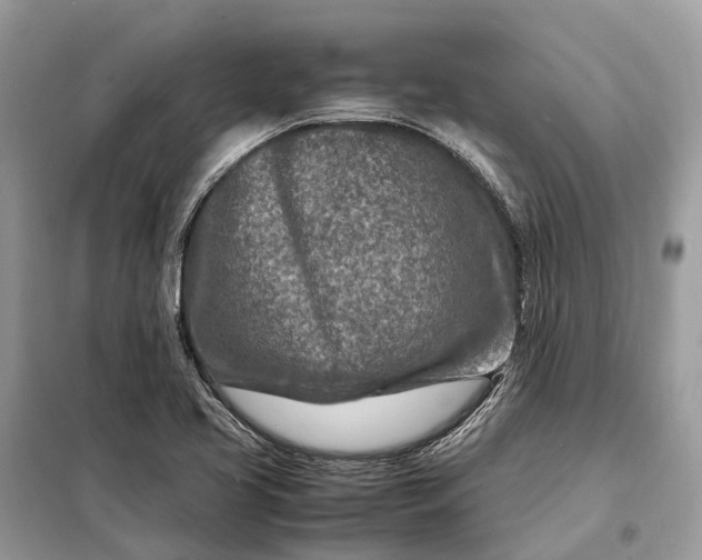 X0000098221413200805081147