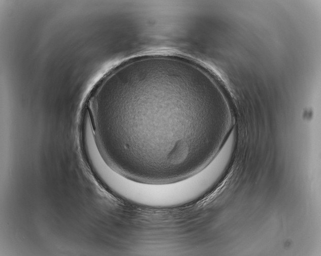 X0000098221414200805081147