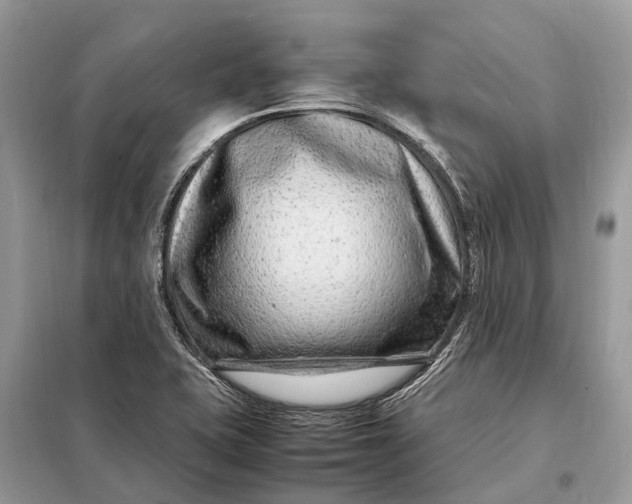 X0000098221415200805081147