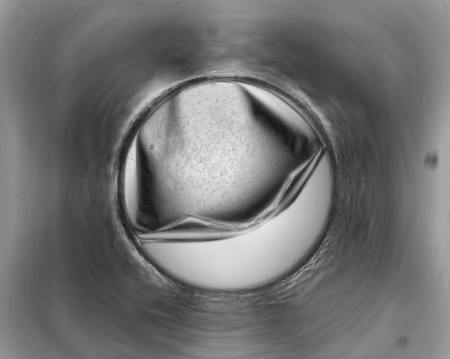 X0000098221416200805081147